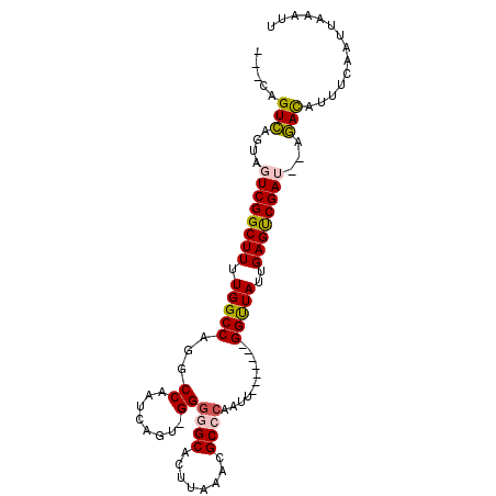 secondary structure