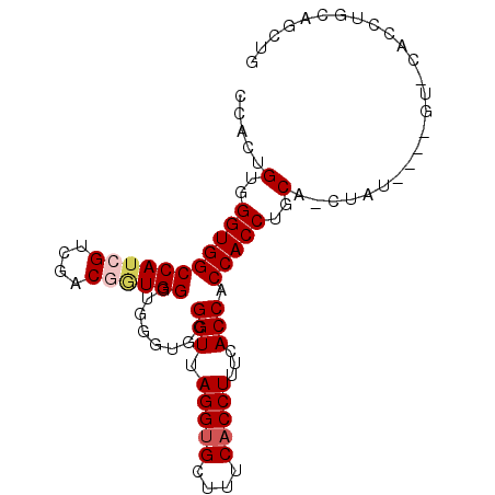 secondary structure