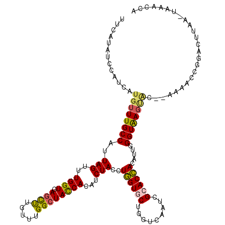 secondary structure