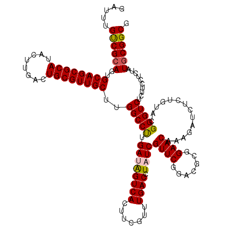 secondary structure