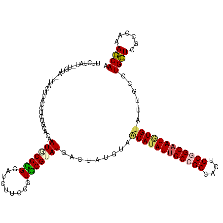 secondary structure