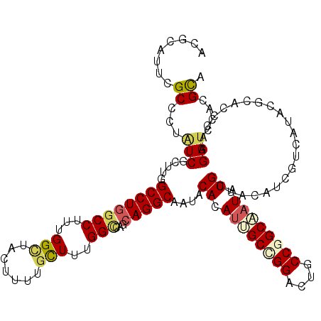 secondary structure