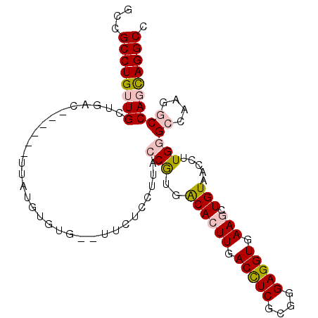secondary structure