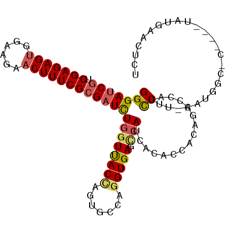 secondary structure