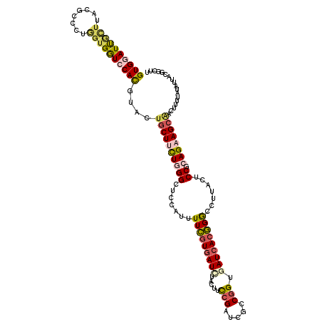 secondary structure