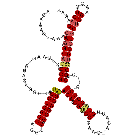 secondary structure