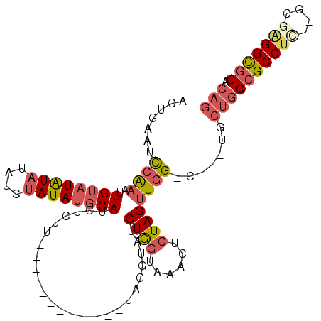 secondary structure