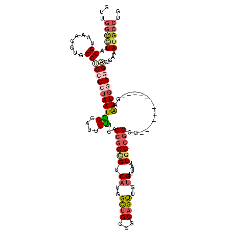 secondary structure