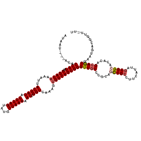 secondary structure
