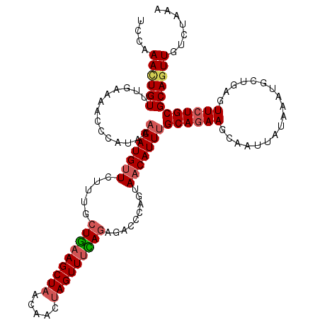 secondary structure