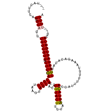 secondary structure
