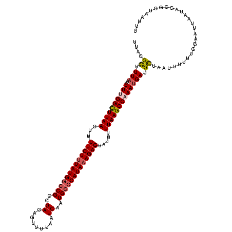 secondary structure