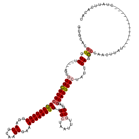 secondary structure