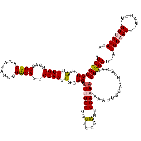 secondary structure