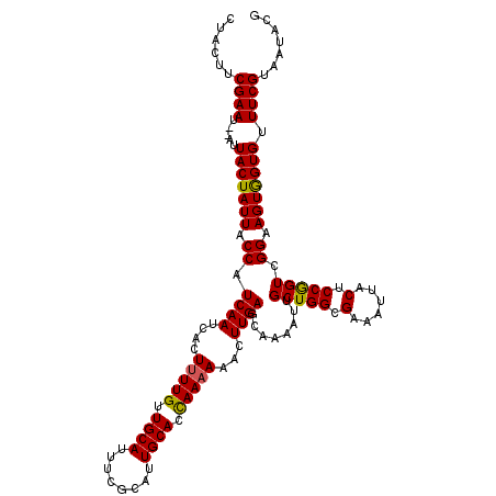 secondary structure