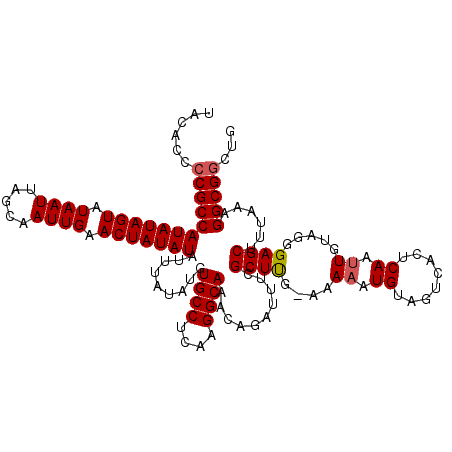 secondary structure