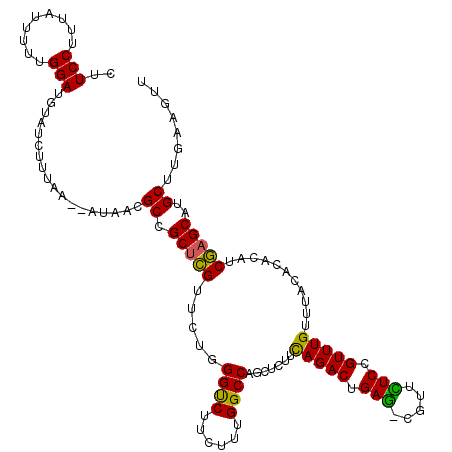 secondary structure