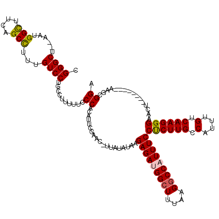 secondary structure