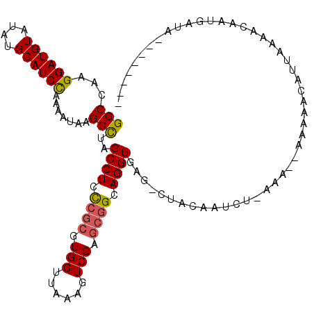 secondary structure