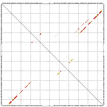 dotplot
