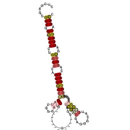 secondary structure