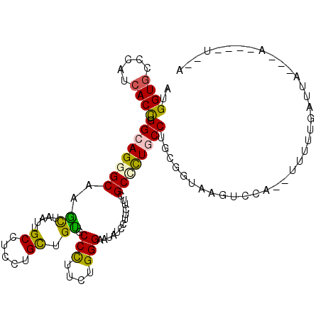 secondary structure