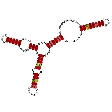secondary structure