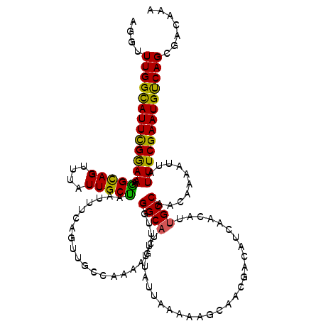 secondary structure