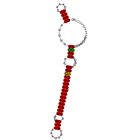 secondary structure