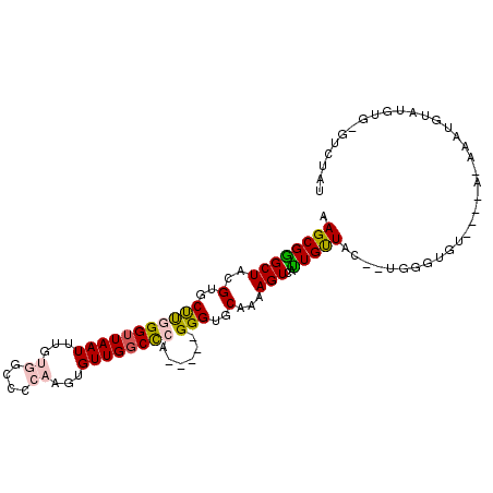 secondary structure