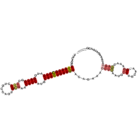 secondary structure