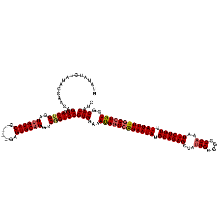 secondary structure
