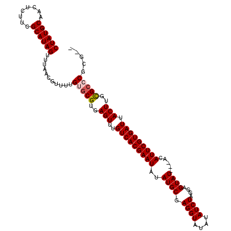 secondary structure