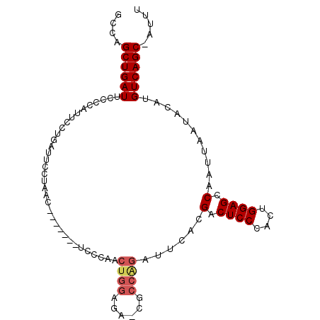 secondary structure