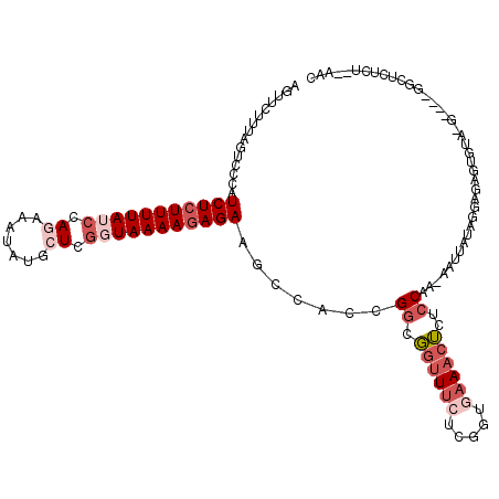 secondary structure