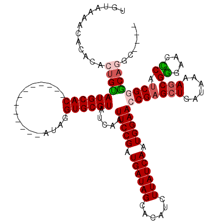 secondary structure