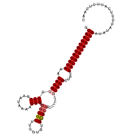 secondary structure