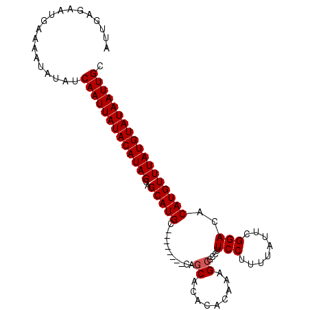 secondary structure
