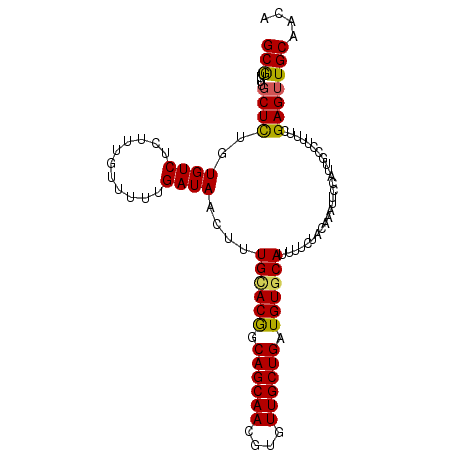 secondary structure