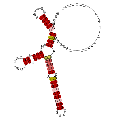 secondary structure