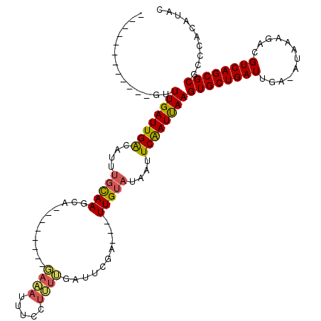 secondary structure