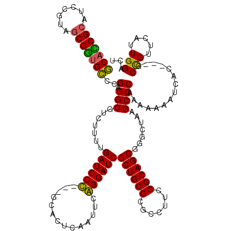 secondary structure