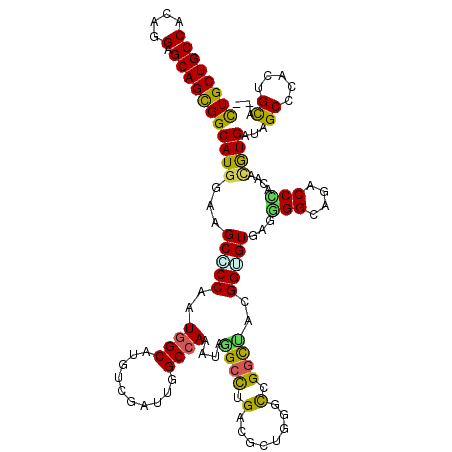 secondary structure