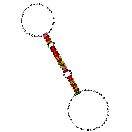 secondary structure