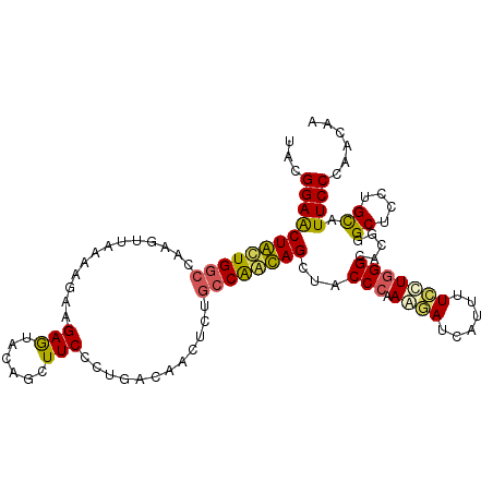 secondary structure