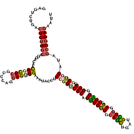 secondary structure