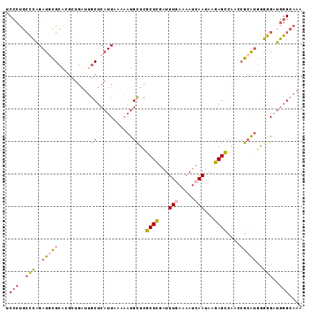 dotplot