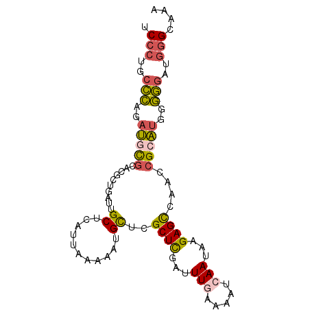 secondary structure