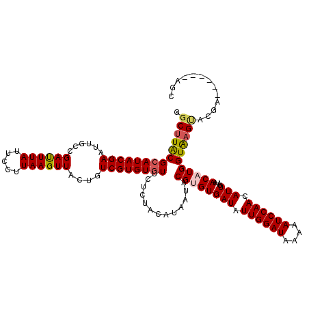 secondary structure