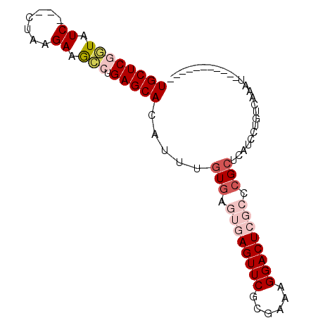 secondary structure